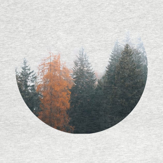 Misty Pine Forest Minimal Circle by HumanErrorCo